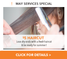 April 2013 Services Promo