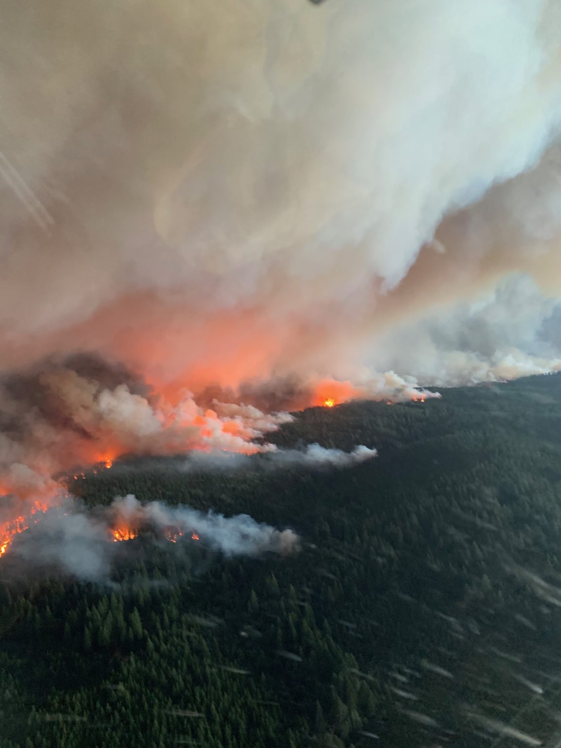 Surviving Wildfire Season: 5 Little Things to Help You Feel and Breathe ...